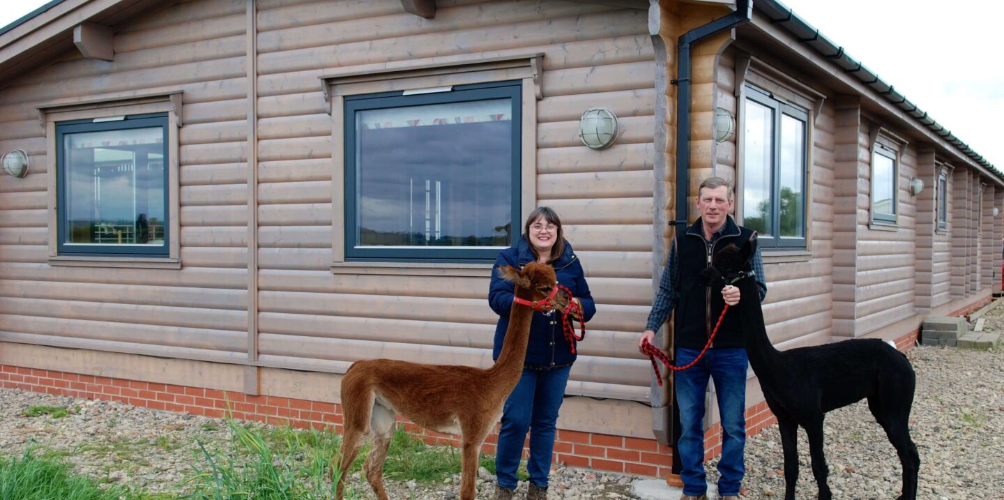 Stangers With Alpacas Outside 1