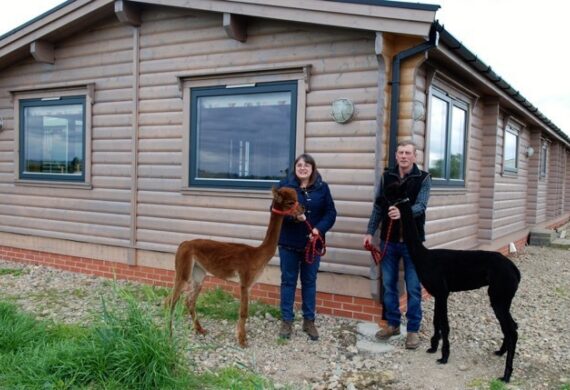 Stangers With Alpacas Outside Low Res