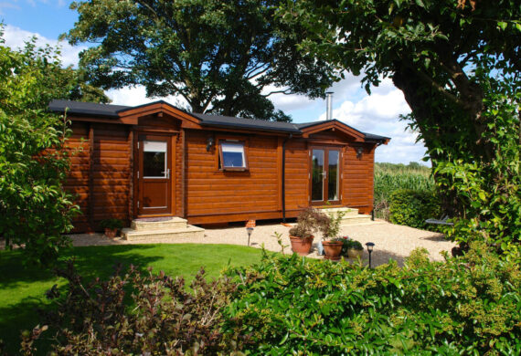 Young Granny Annex Web 1