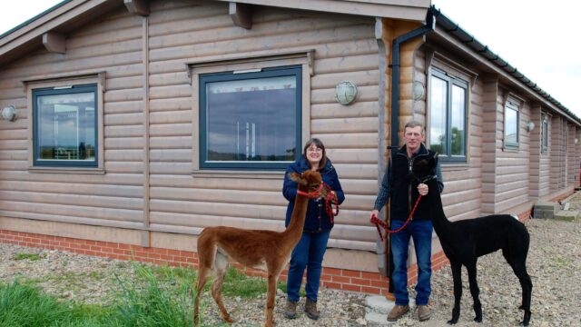 Stangers With Alpacas Outside 1