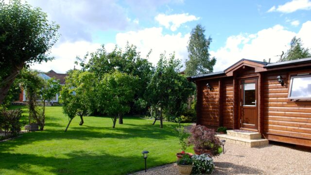 Young Granny Annex Web 3