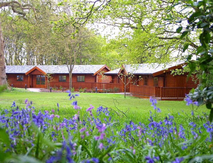 Classroom Hall Graves School Bagshot 2